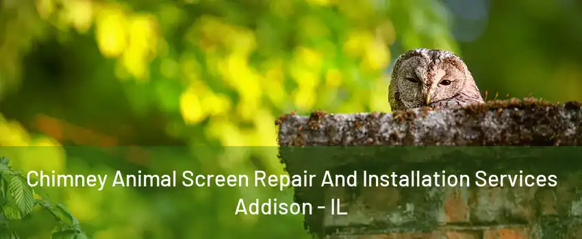 Chimney Animal Screen Repair And Installation Services Addison - IL